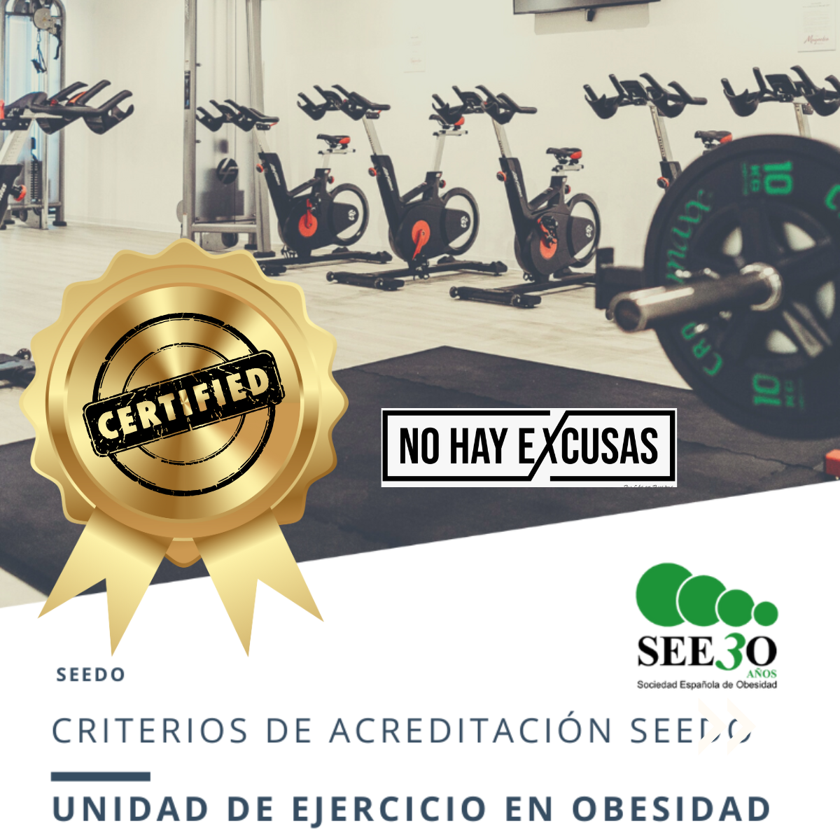 1ª Unidad de Ejercicio en Obesidad acreditada SEEDO - Programas para perder peso
